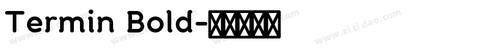Termin Bold字体转换